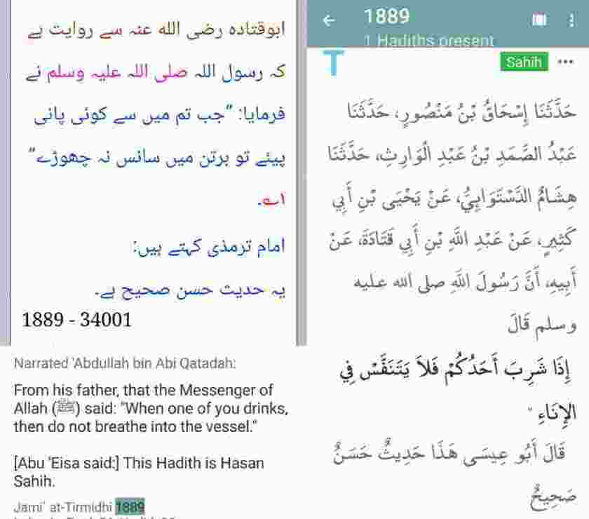 1889 Tirmidhi